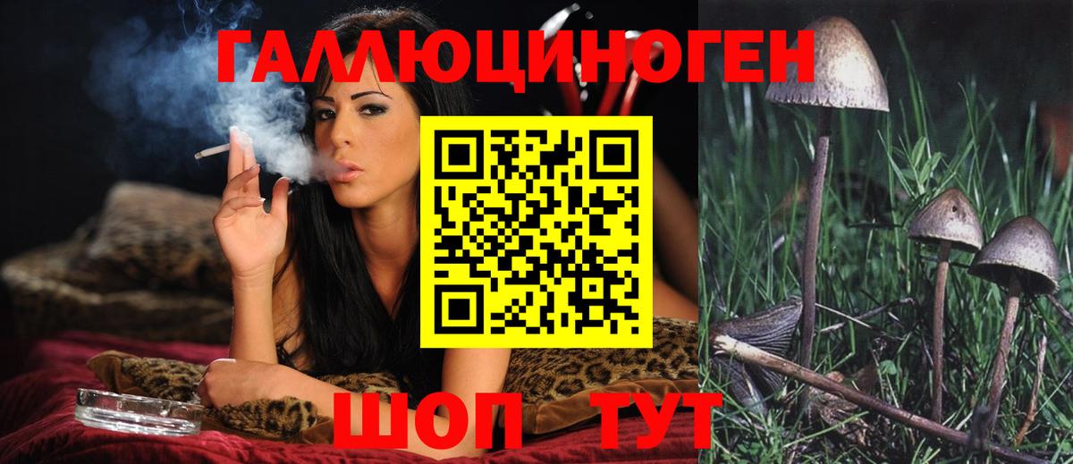 Галлюциногенные грибы MAGIC MUSHROOMS Нарткала